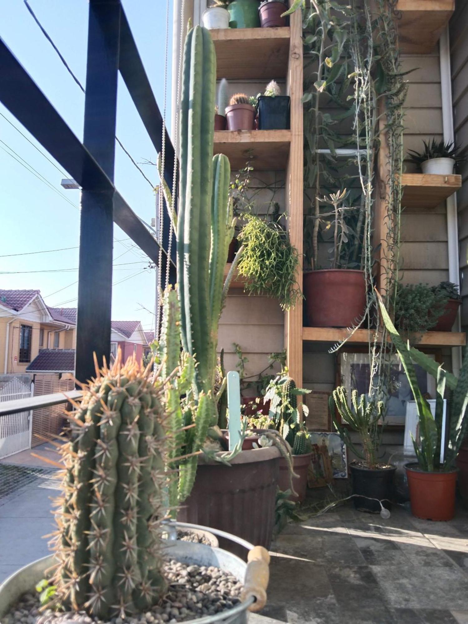 Hostel Tu Espacio Re - Habitaciones Cerca Del Aeropuerto 圣地亚哥 外观 照片